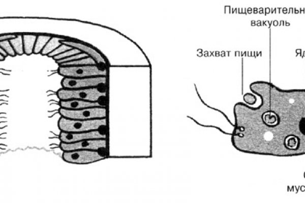 Кракен это гидра